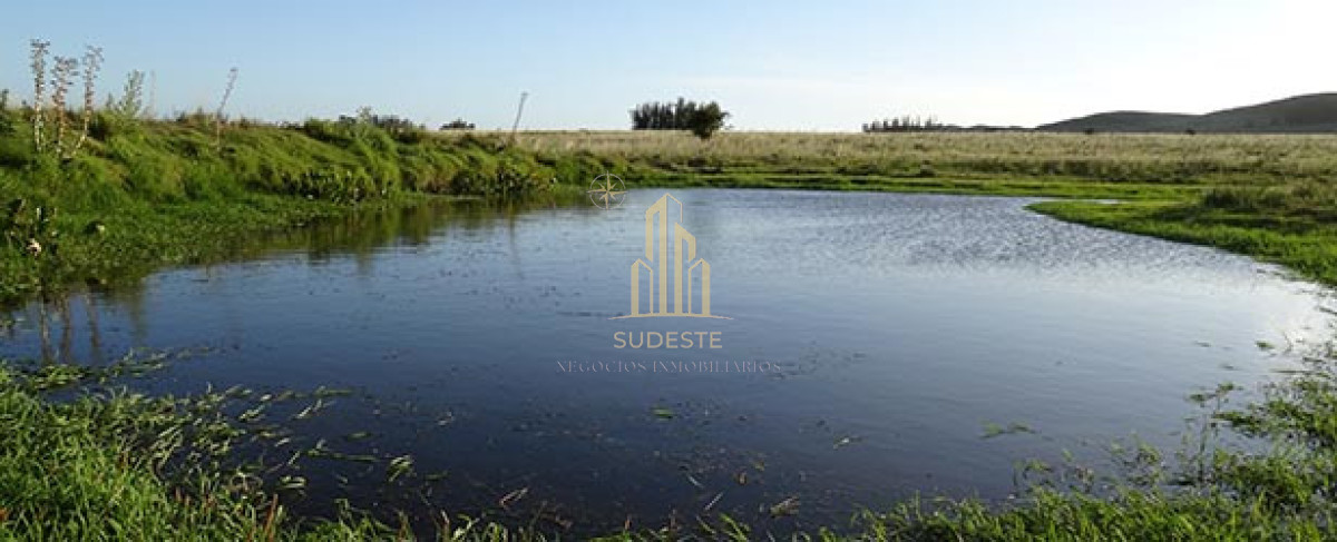 Chacra ID.37 - Chacra en venta con casa de Campo entre las sierras Abras de Perdomo 