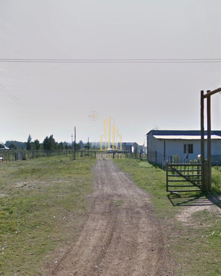 Chacra ID.56 - 🌿 Chacra en venta en Cuchilla Alta - Naturaleza, confort y renta asegurada 🌊