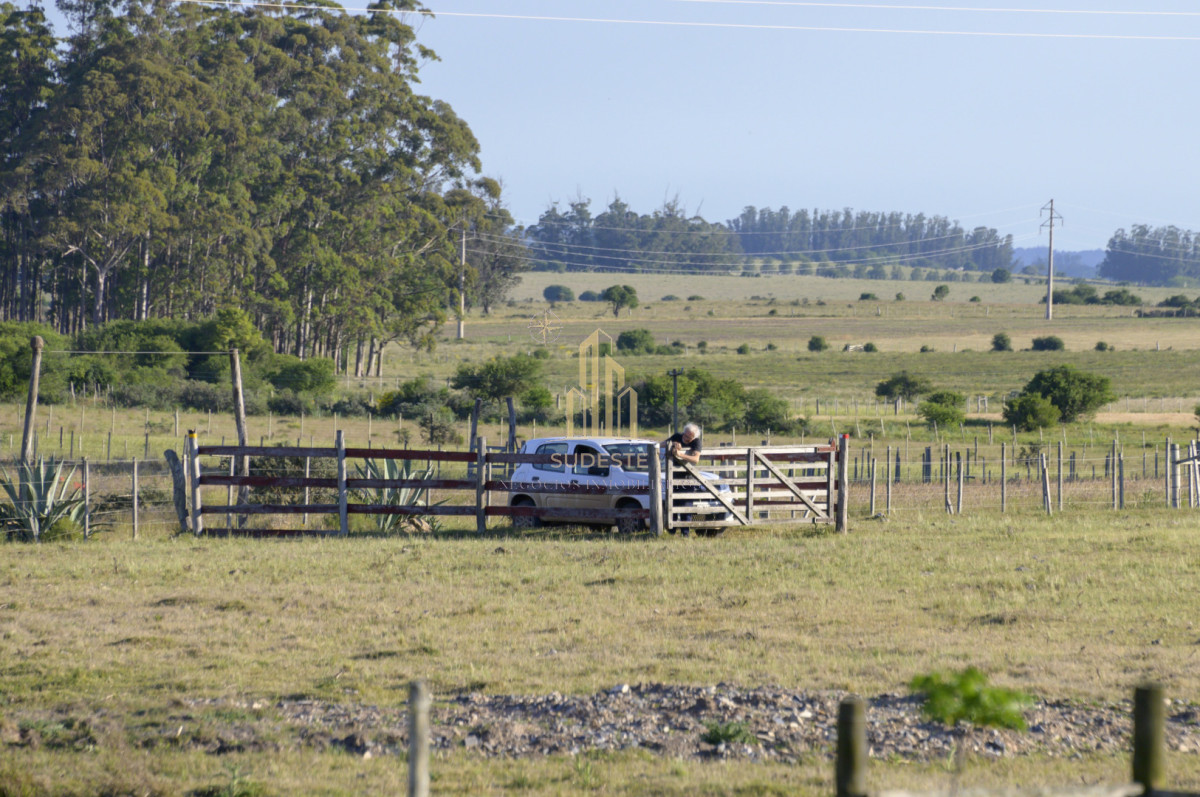 Chacra ID.37 - Chacra en venta con casa de Campo entre las sierras Abras de Perdomo 