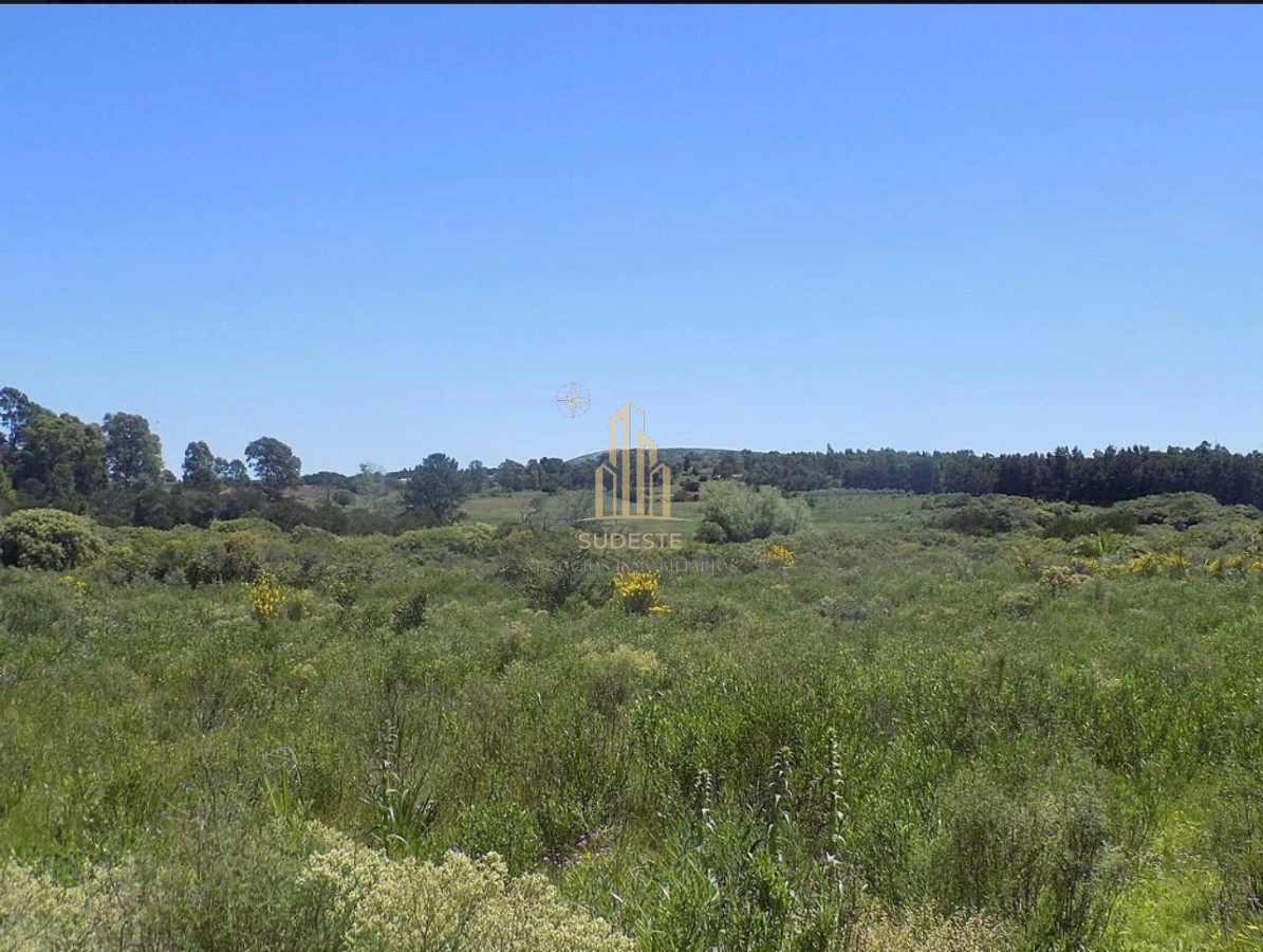 Chacra ID.16 - Venta de Chacra Excelente oportunidad en Playa Grande