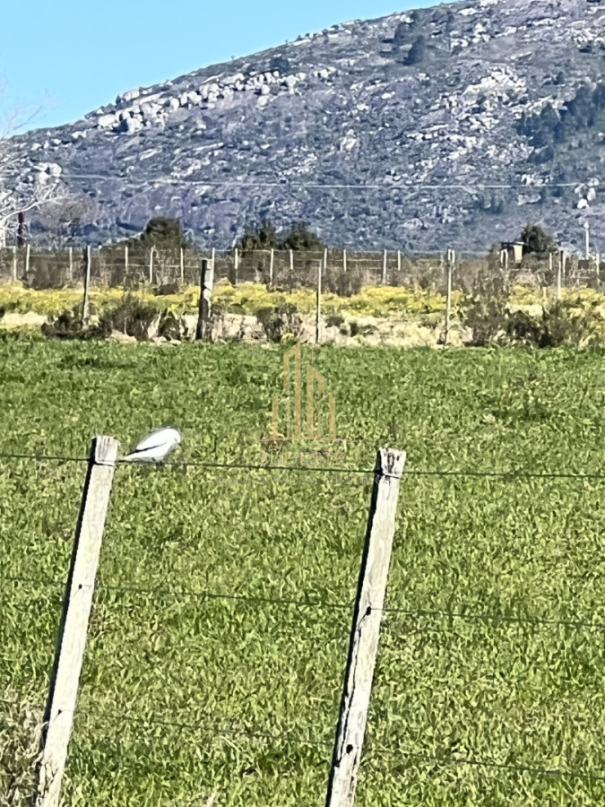 Chacra ID.3 - Chacra en Nueva Carrara 10 hectáreas 