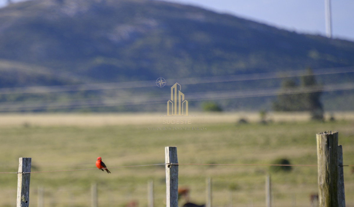 Chacra ID.37 - Chacra en venta con casa de Campo entre las sierras Abras de Perdomo 