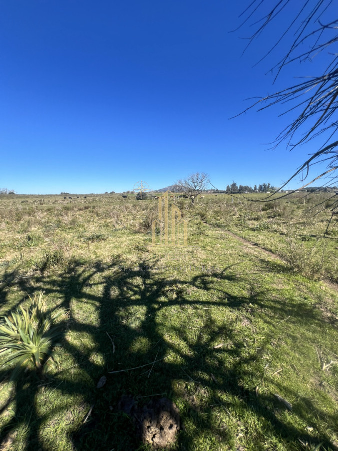 Chacra ID.3 - Chacra en Nueva Carrara 10 hectáreas 