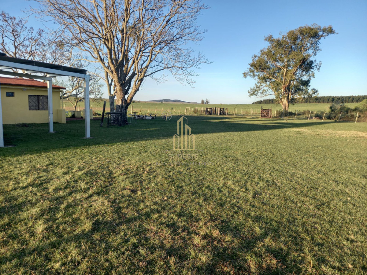 Chacra ID.27 - VENTA CHACRA 8,33 HAS. EN POLANCO (LAVALLEJA)