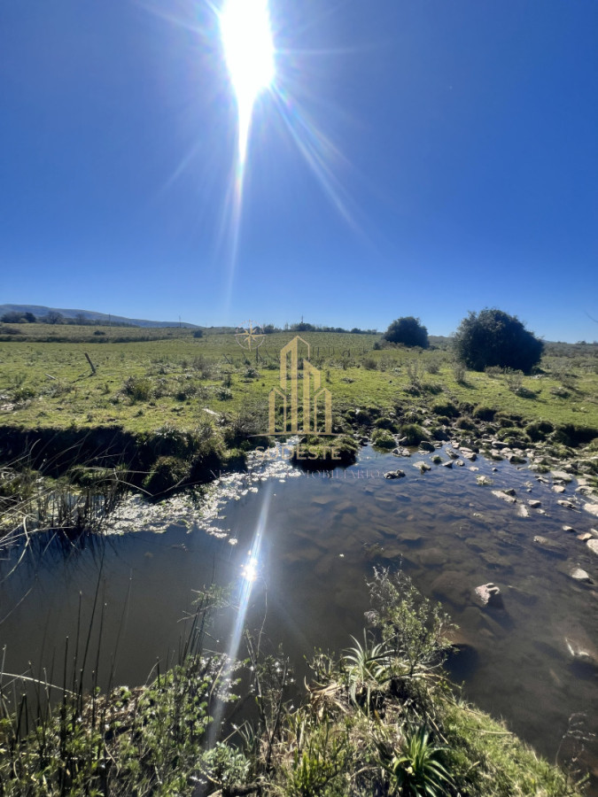 Chacra ID.3 - Chacra en Nueva Carrara 10 hectáreas 