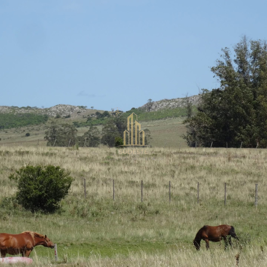 Chacra ID.37 - Chacra en venta con casa de Campo entre las sierras Abras de Perdomo 