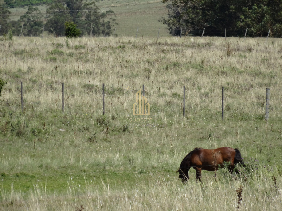 Chacra ID.37 - Chacra en venta con casa de Campo entre las sierras Abras de Perdomo 