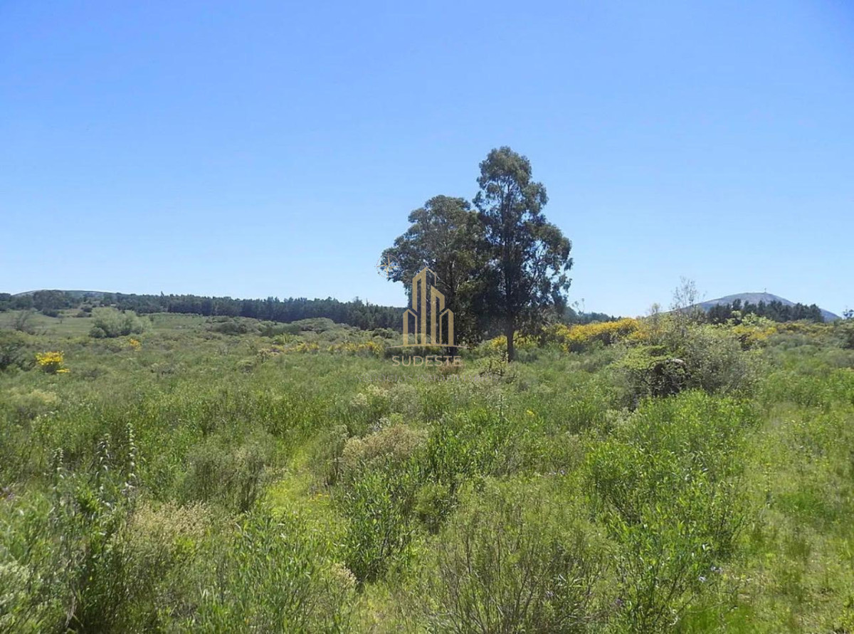 Chacra ID.16 - Venta de Chacra Excelente oportunidad en Playa Grande