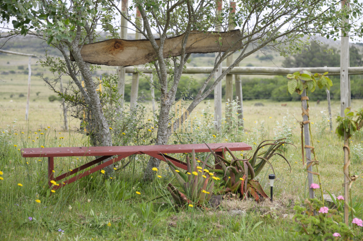 Chacra ID.37 - Chacra en venta con casa de Campo entre las sierras Abras de Perdomo 