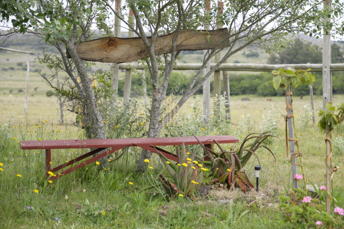 Chacra ID.37 - Chacra en venta con casa de Campo entre las sierras Abras de Perdomo 