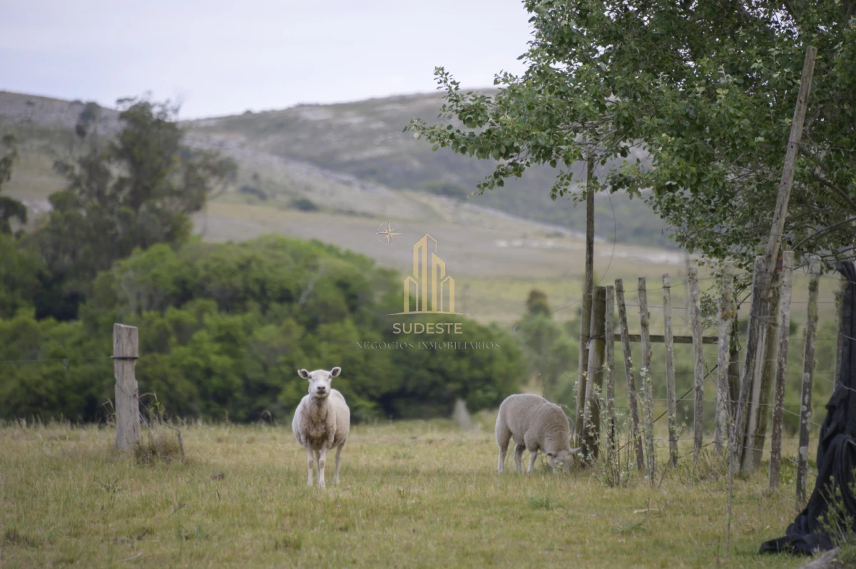 Chacra ID.37 - Chacra en venta con casa de Campo entre las sierras Abras de Perdomo 