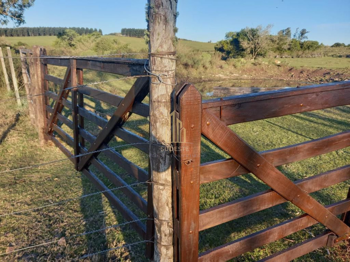 Chacra ID.27 - VENTA CHACRA 8,33 HAS. EN POLANCO (LAVALLEJA)