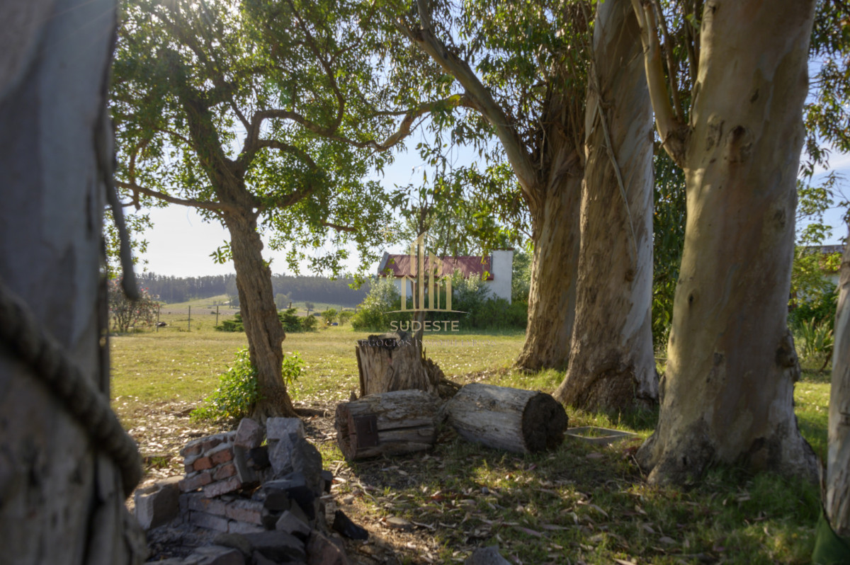 Chacra ID.37 - Chacra en venta con casa de Campo entre las sierras Abras de Perdomo 