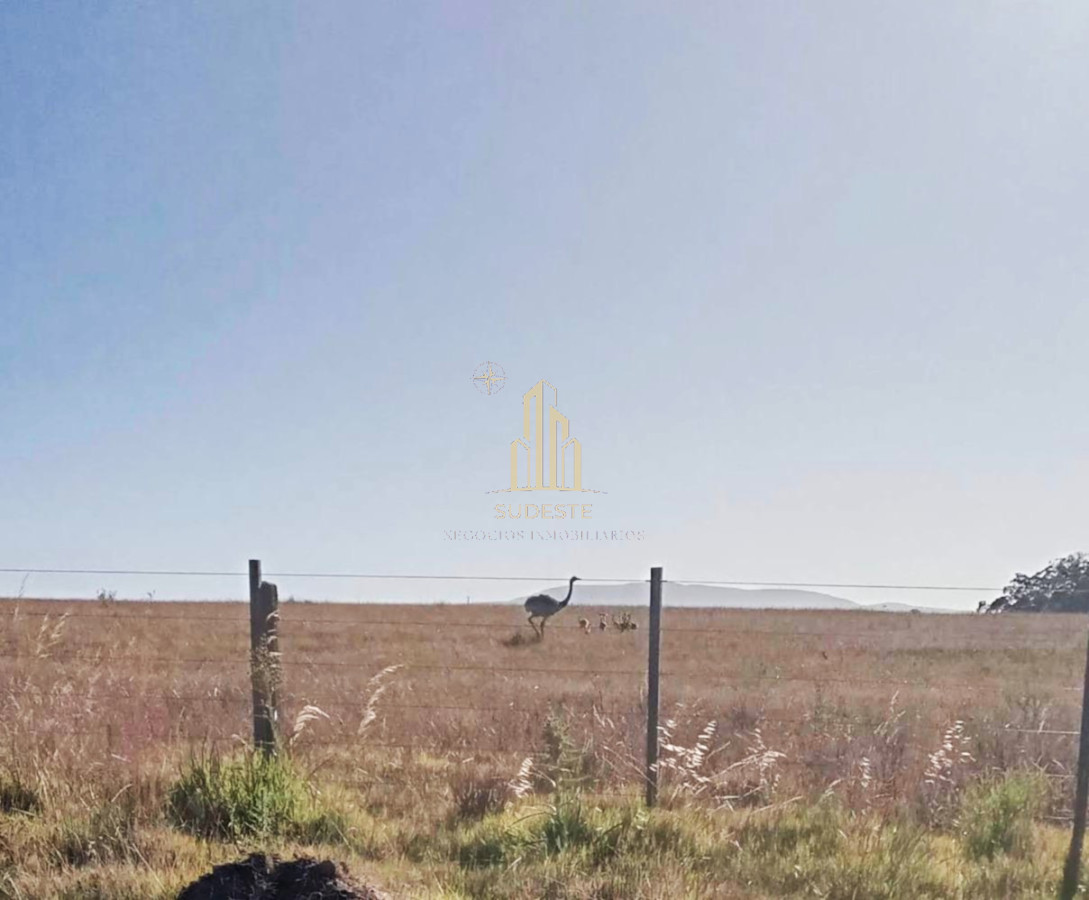 Chacra ID.56 - 🌿 Chacra en venta en Cuchilla Alta - Naturaleza, confort y renta asegurada 🌊