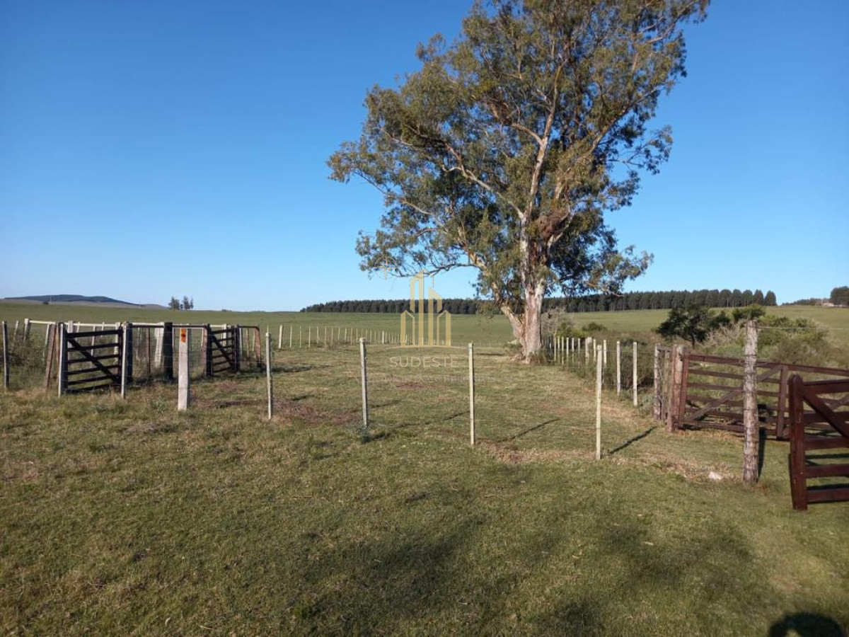 Chacra ID.27 - VENTA CHACRA 8,33 HAS. EN POLANCO (LAVALLEJA)