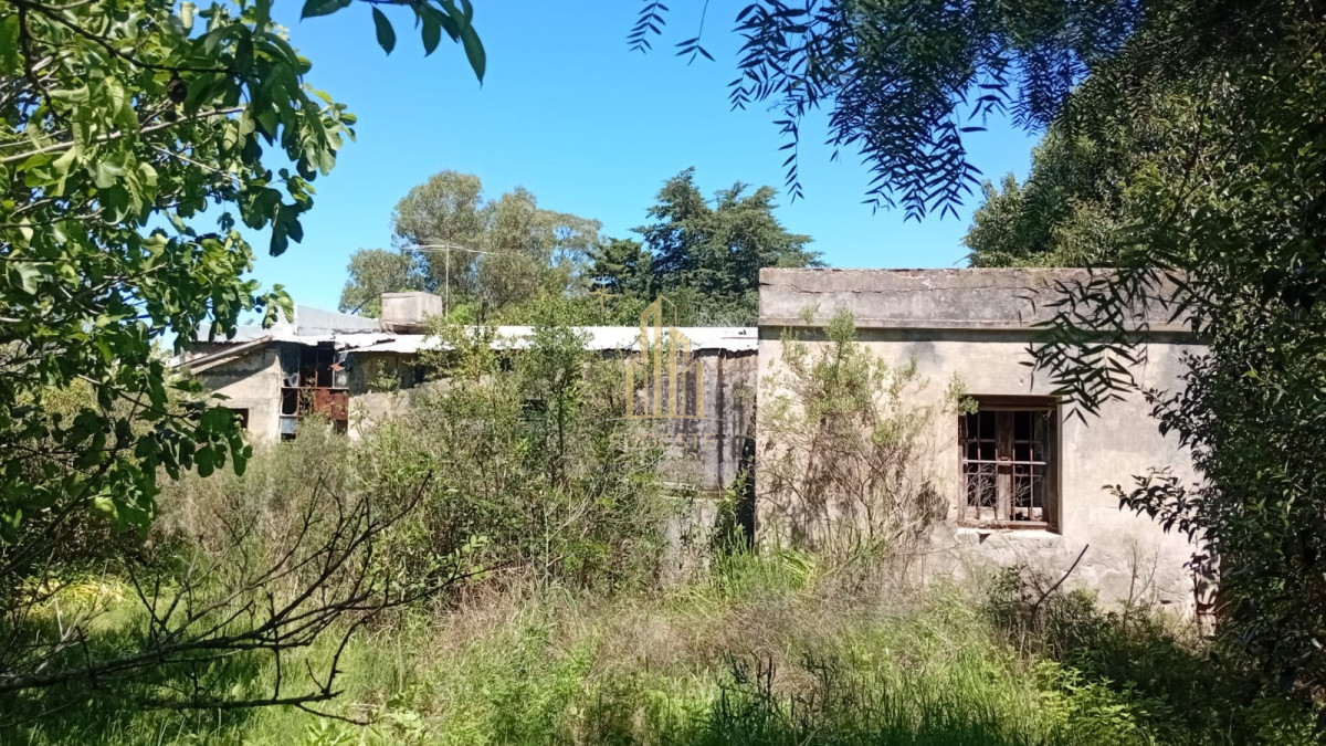 Chacra ID.137 - Venta de Chacra en Pan de Azúcar de 3,2 hectáreas con Cabaña y Casa 
