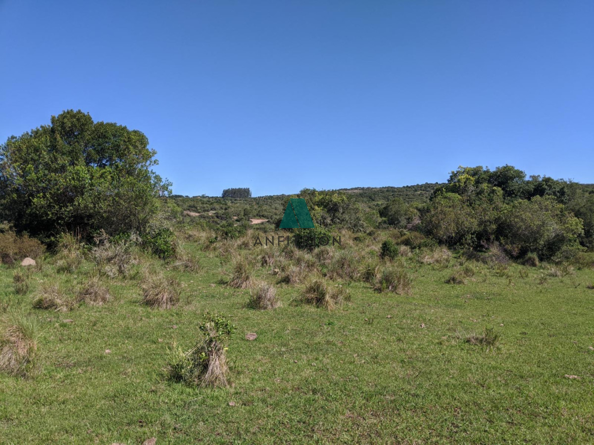 Chacra ID.528 - 🌿 Chacra de 5 hectáreas en las Sierras de Aiguá 🌿
