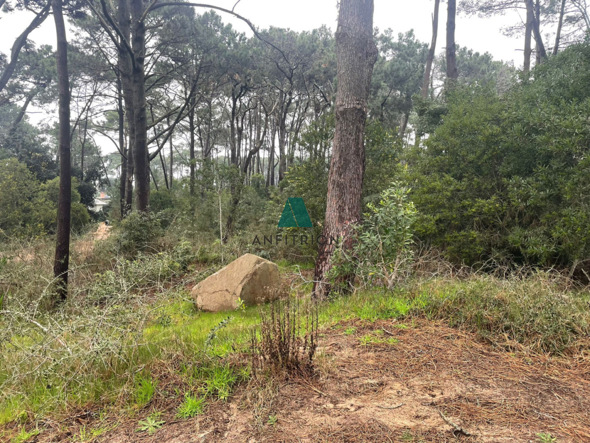 Terreno ID.36 - Terreno 3000M2 en Montoya