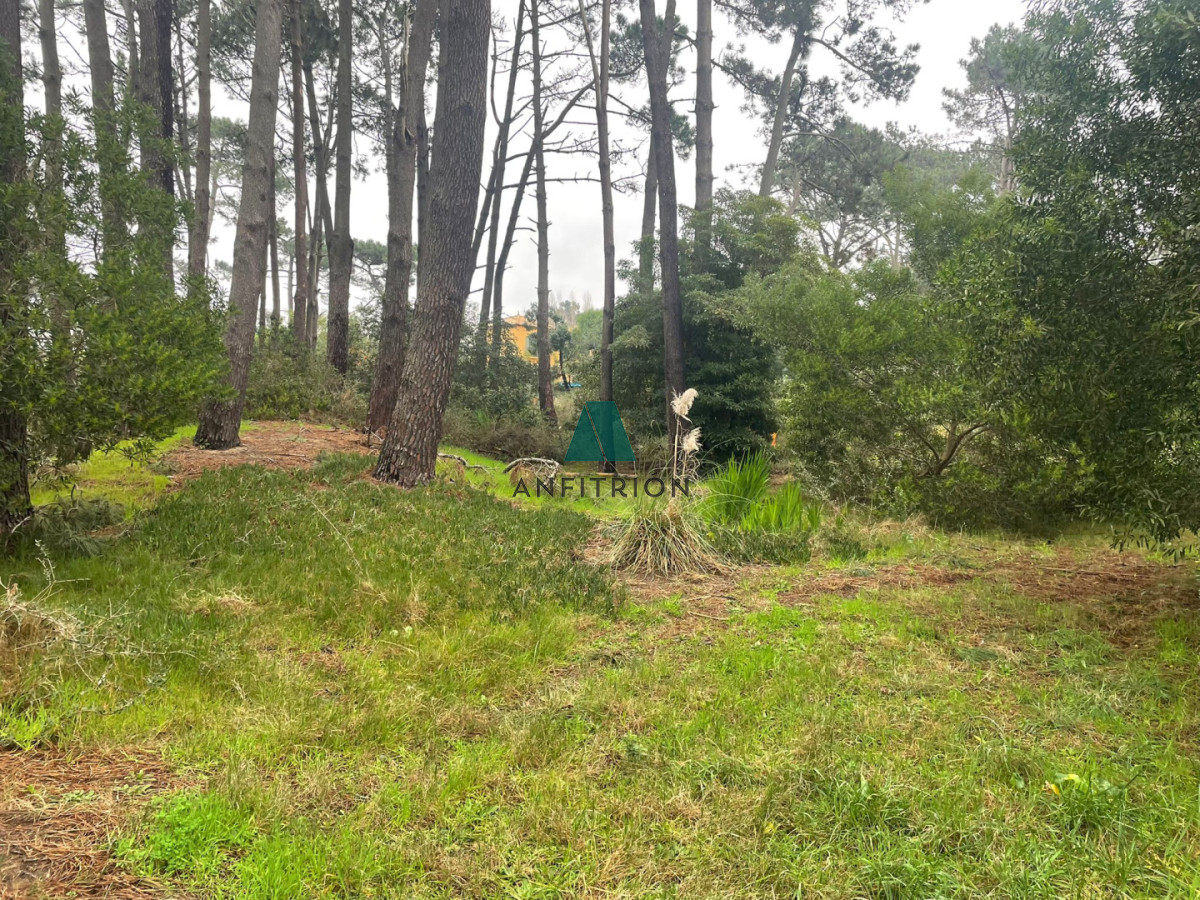 Terreno ID.36 - Terreno 3000M2 en Montoya