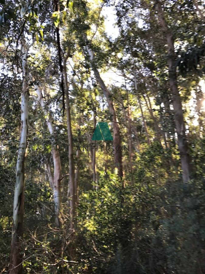 Terreno ID.194 - En Venta - Oportunidad en La Juanita, José Ignacio.