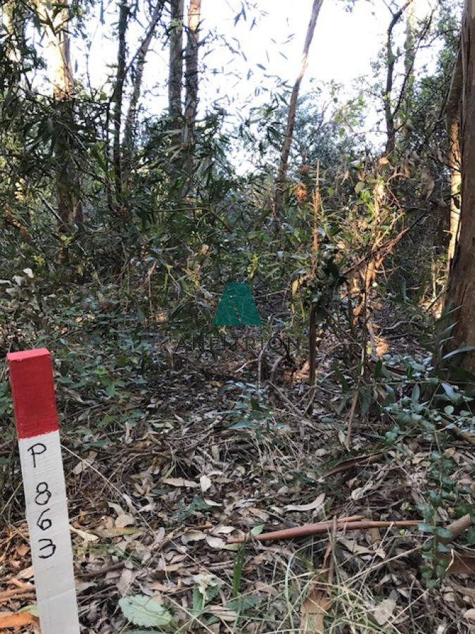 Terreno ID.194 - En Venta - Oportunidad en La Juanita, José Ignacio.