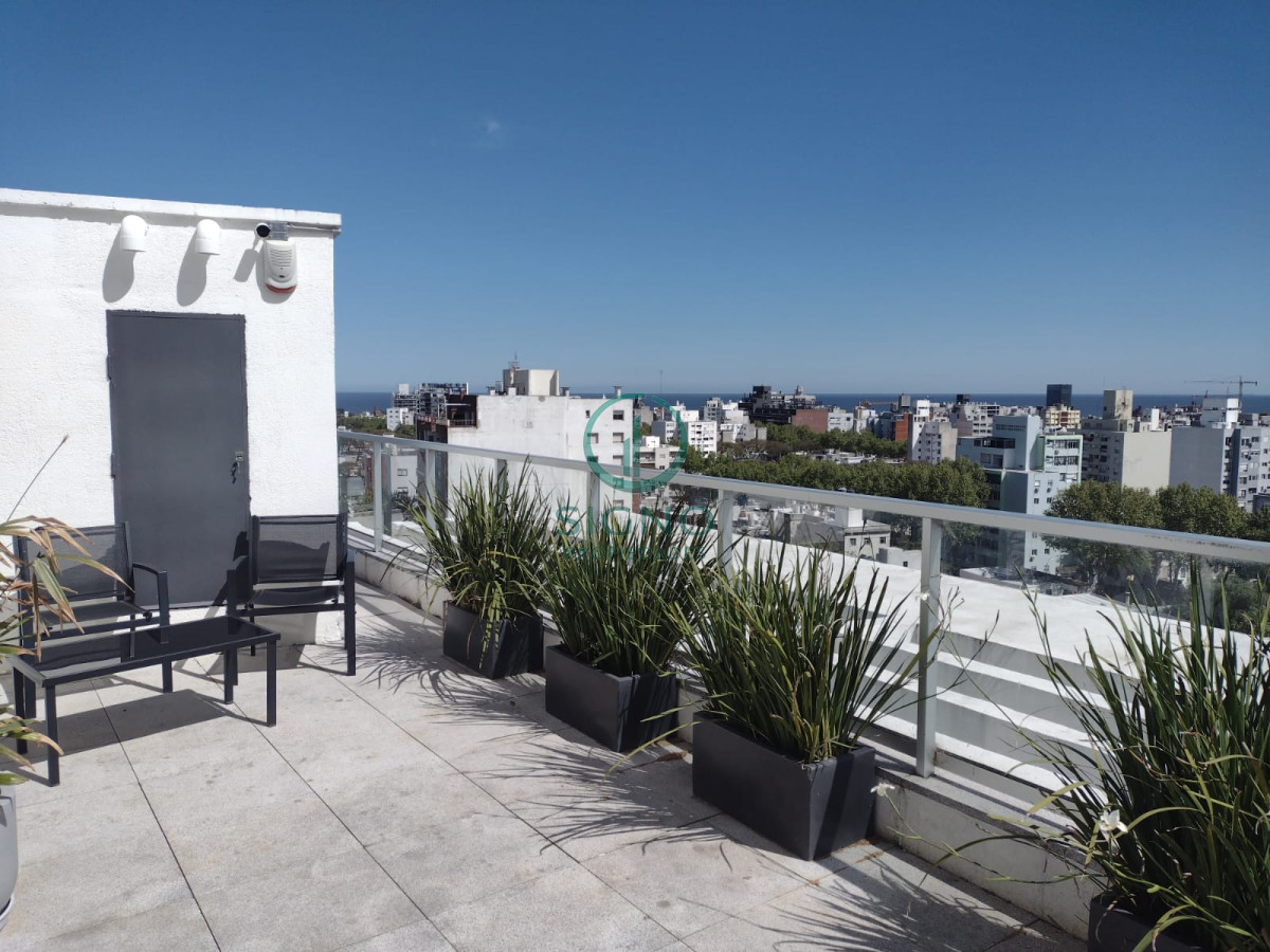 Apartamento ID.1721 - Alquilo Cordón Sur 2 Dormitorios excelente estado !!