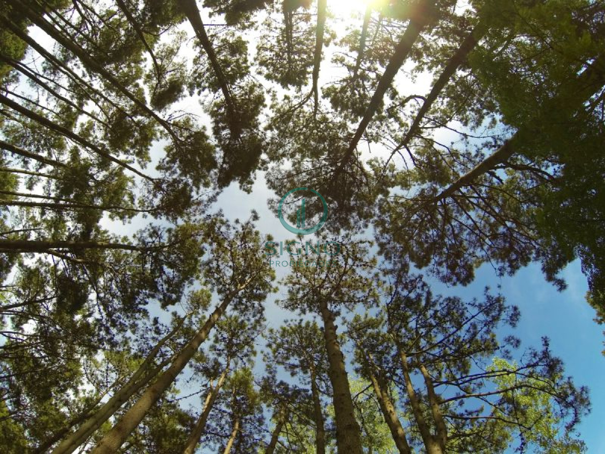 Terreno ID.1145 - Venta Excepcional Terreno en Rincon del Indio 35000 metros