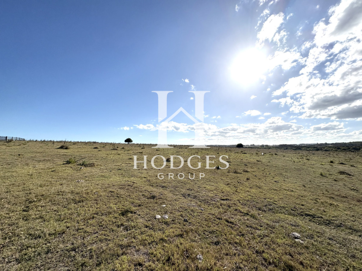 Campo Ref.338 - Campo en Venta, Cañada Bellaca  