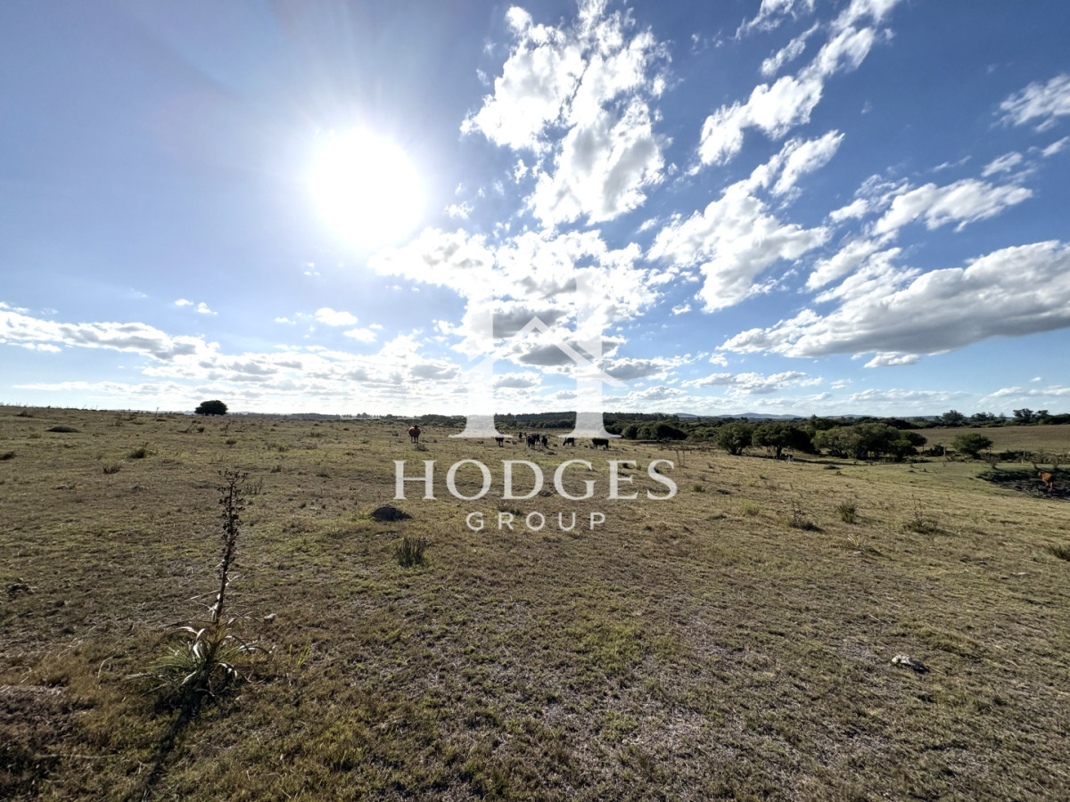 Campo Ref.338 - Campo en Venta, Cañada Bellaca  