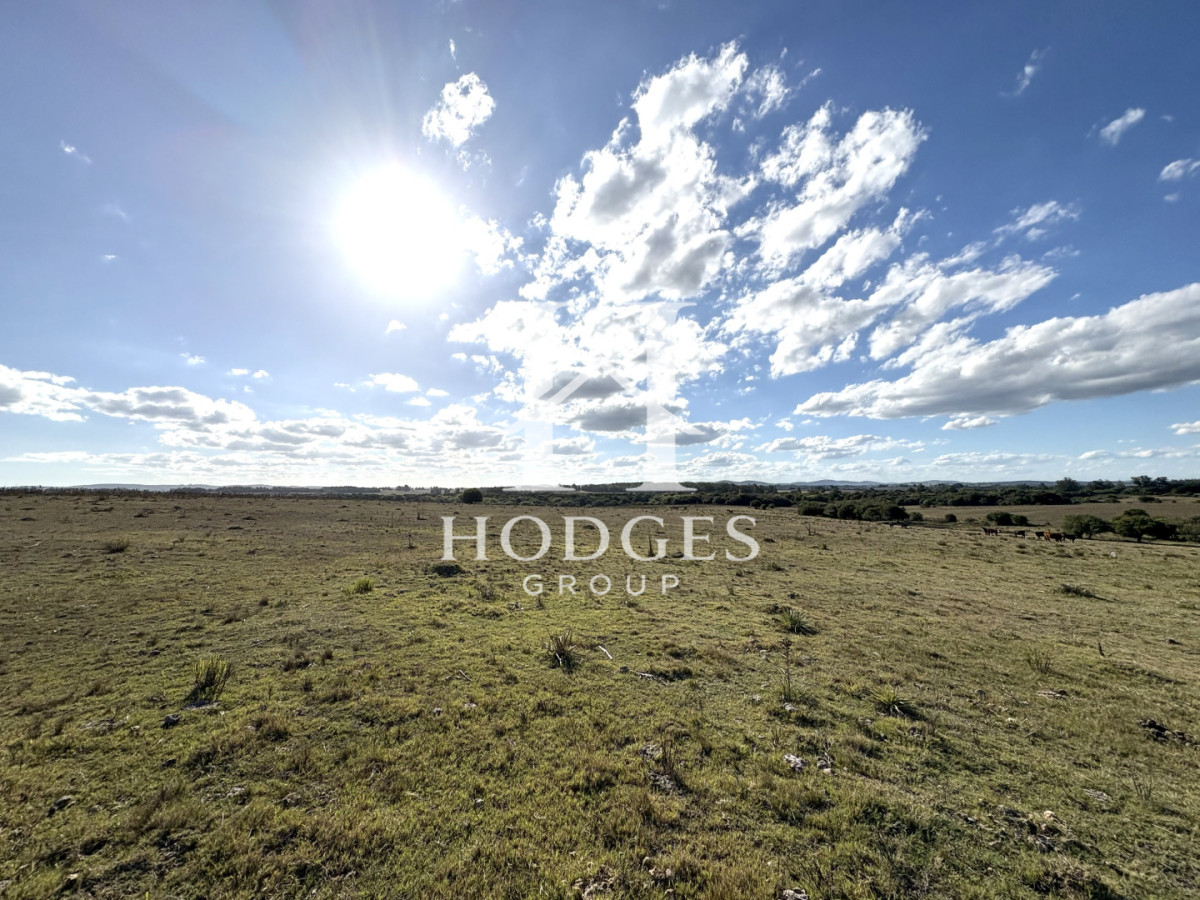 Campo Ref.338 - Campo en Venta, Cañada Bellaca  