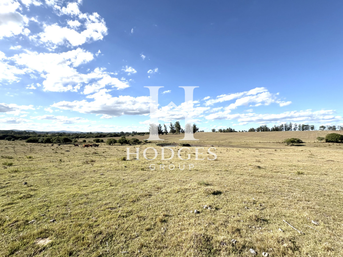 Campo Ref.338 - Campo en Venta, Cañada Bellaca  