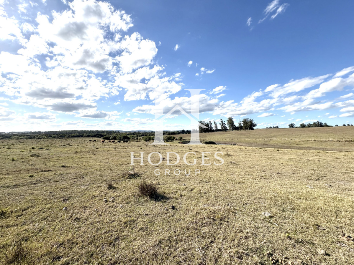 Campo Ref.338 - Campo en Venta, Cañada Bellaca  