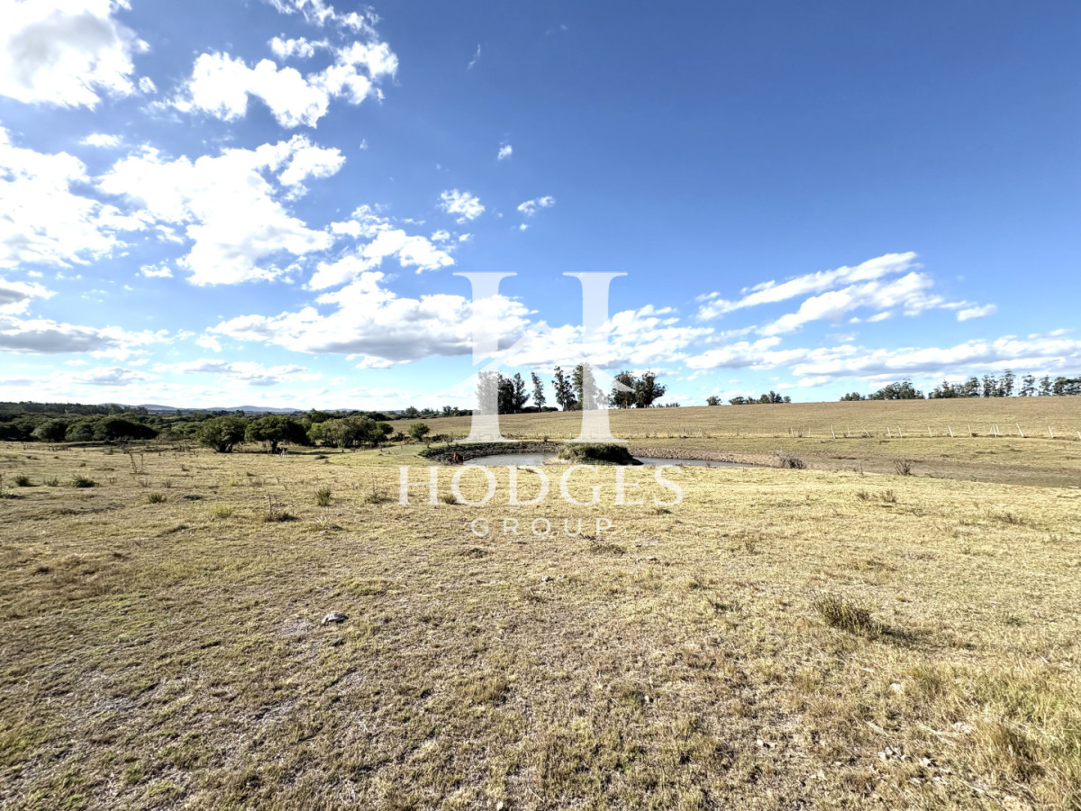 Campo Ref.338 - Campo en Venta, Cañada Bellaca  