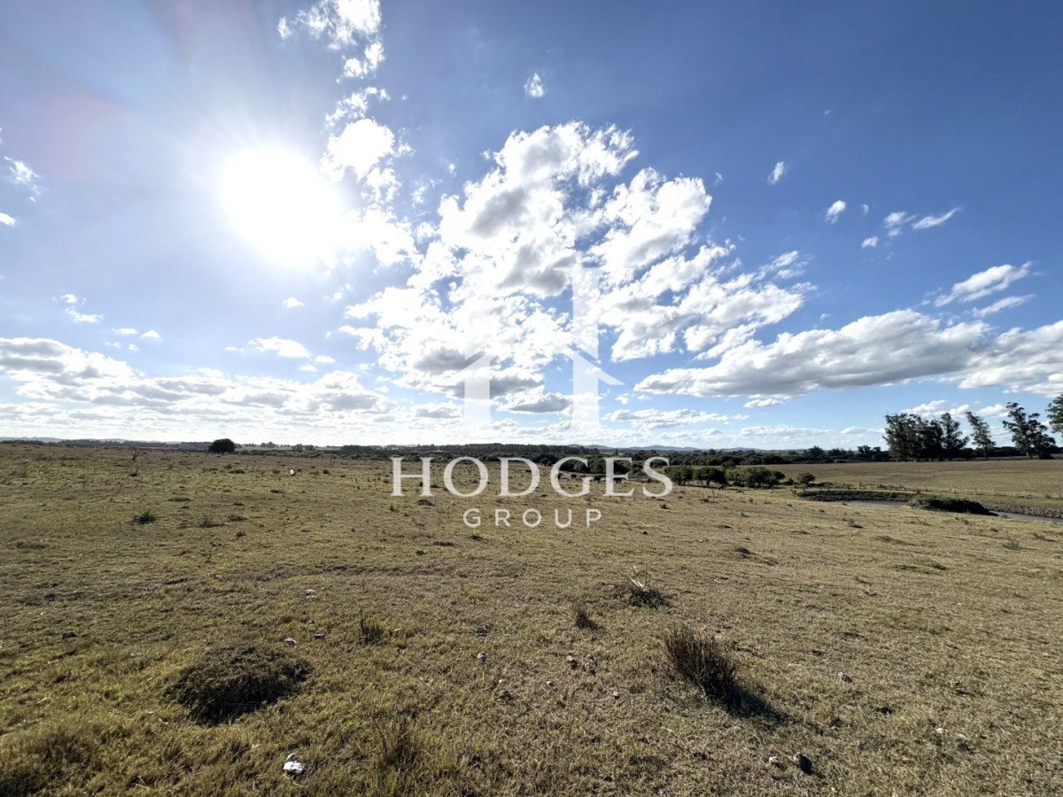Campo Ref.338 - Campo en Venta, Cañada Bellaca  