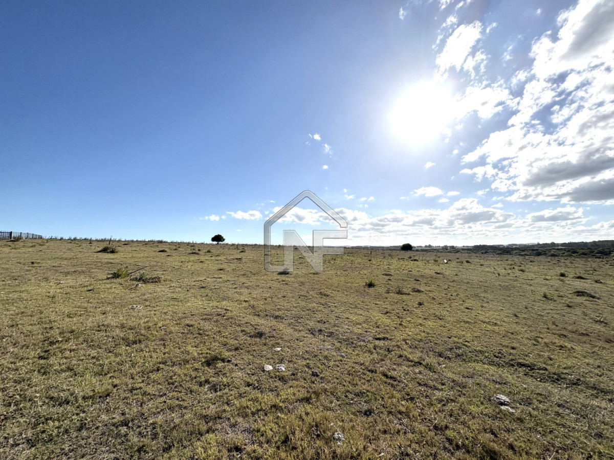 Campo Ref.6 - Campo en Venta, Cañada Bellaca  