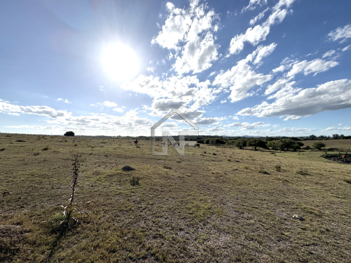 Campo Ref.6 - Campo en Venta, Cañada Bellaca  