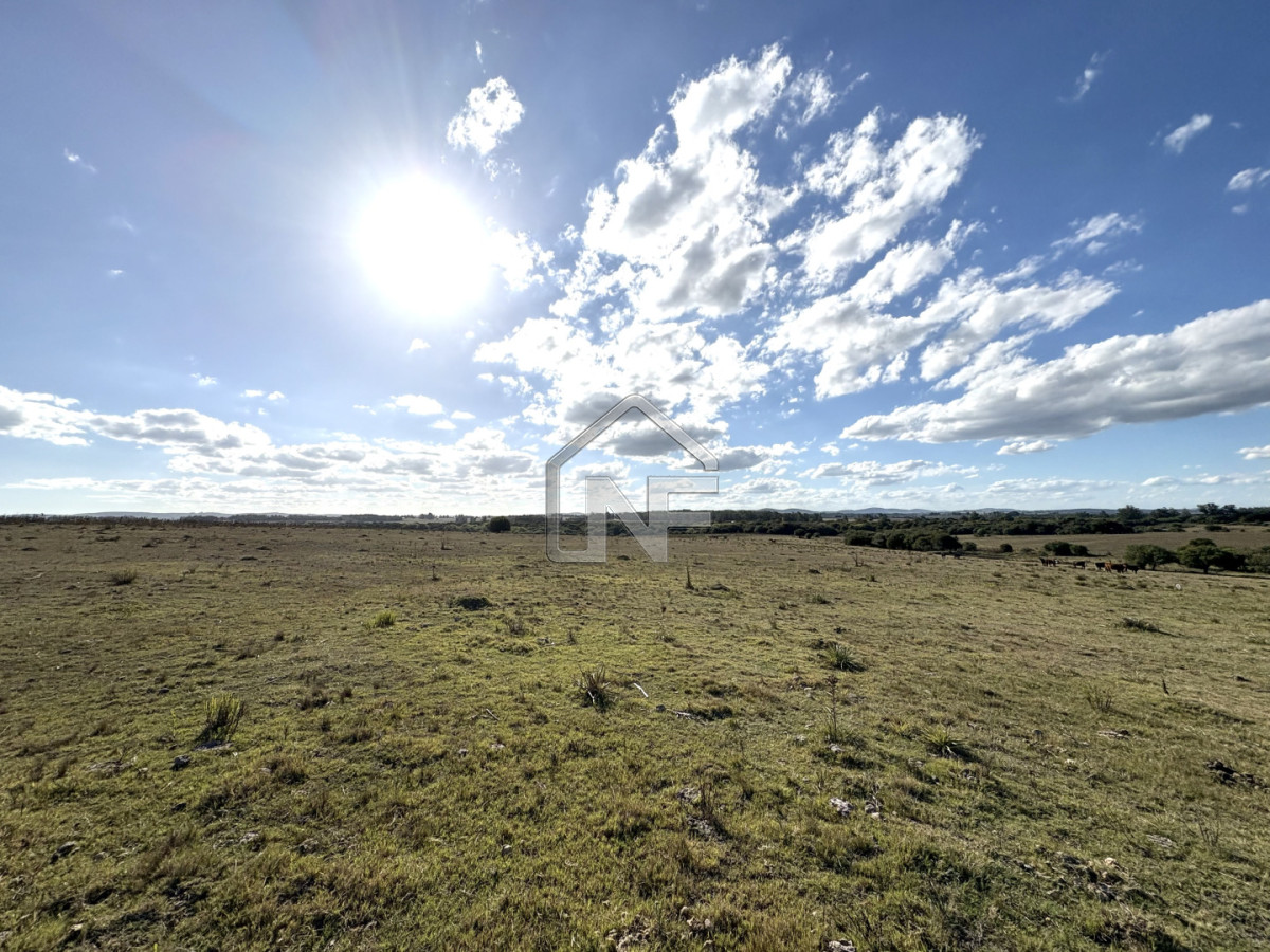 Campo Ref.6 - Campo en Venta, Cañada Bellaca  