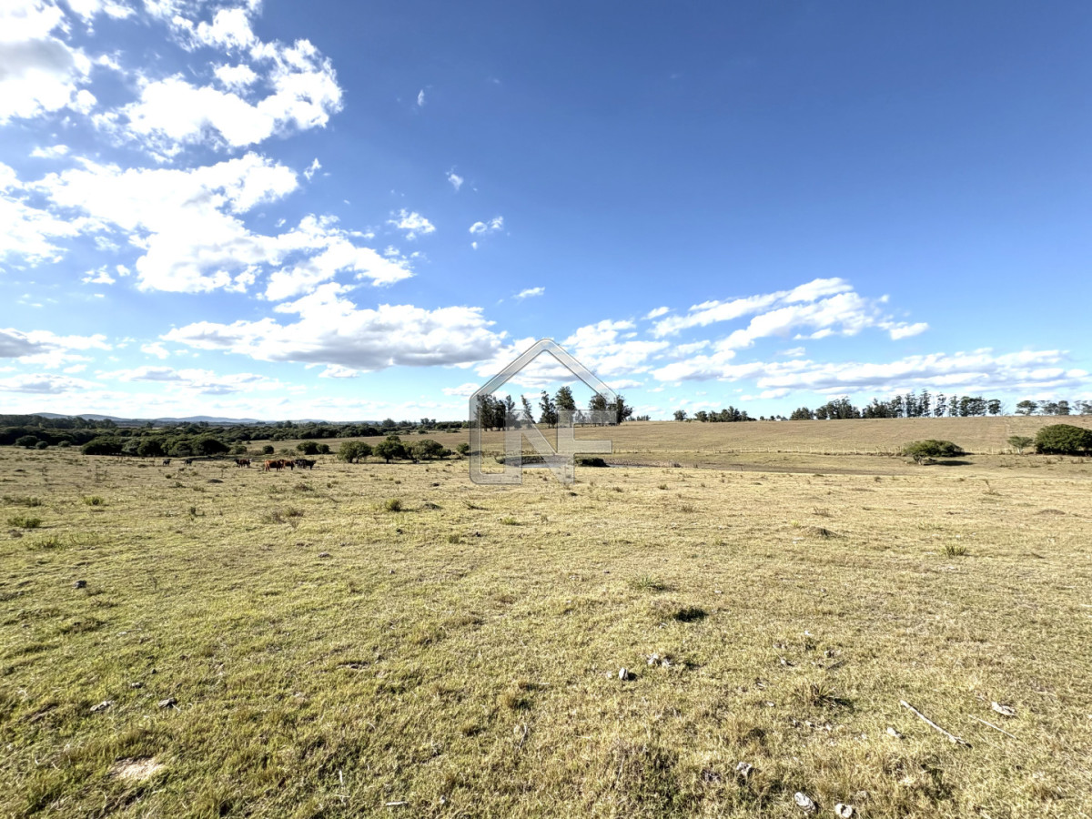 Campo Ref.6 - Campo en Venta, Cañada Bellaca  