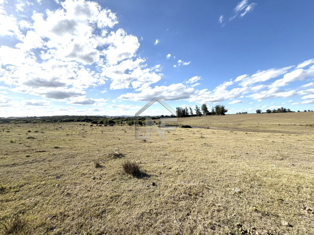 Campo Ref.6 - Campo en Venta, Cañada Bellaca  