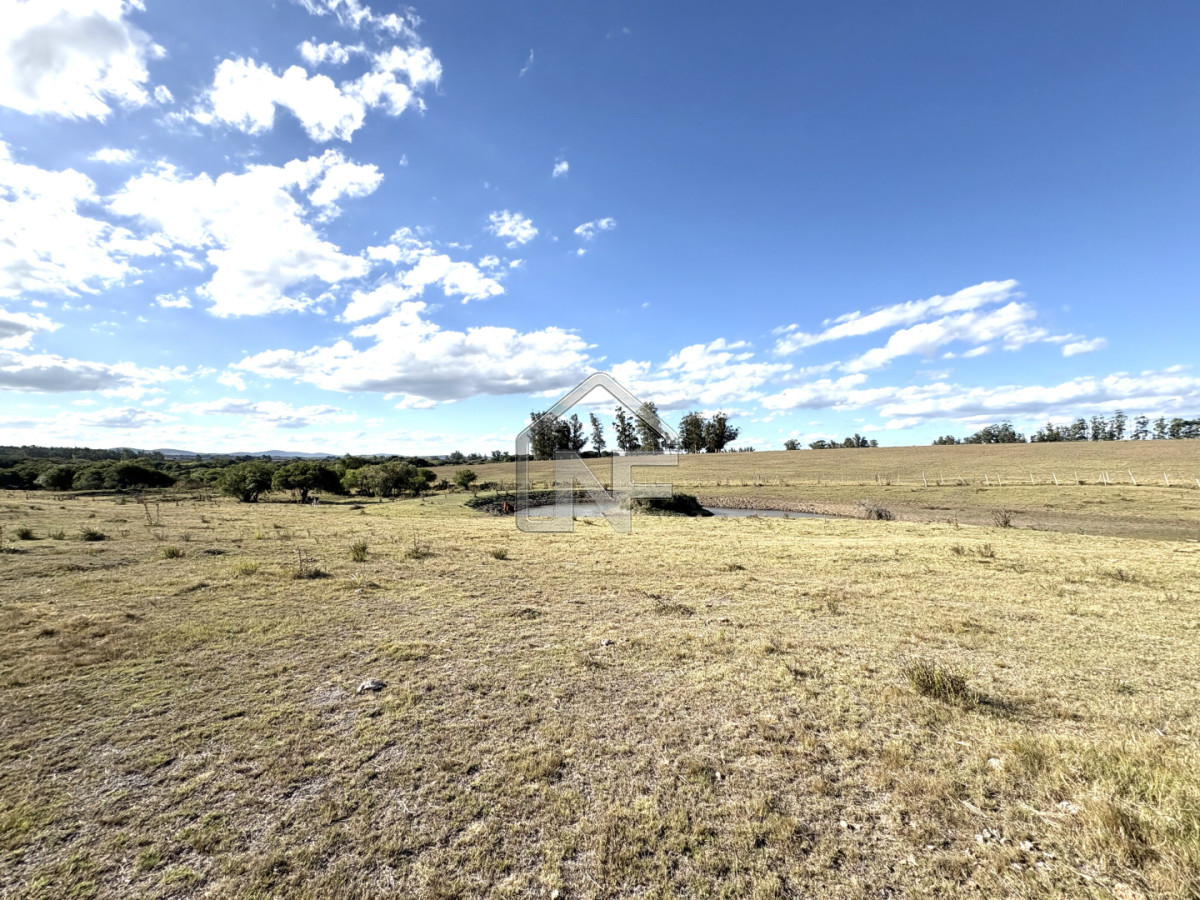 Campo Ref.6 - Campo en Venta, Cañada Bellaca  