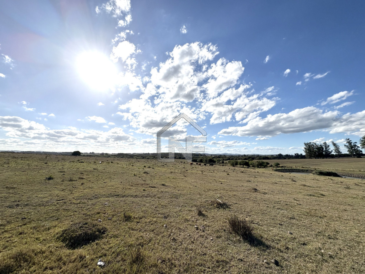 Campo Ref.6 - Campo en Venta, Cañada Bellaca  