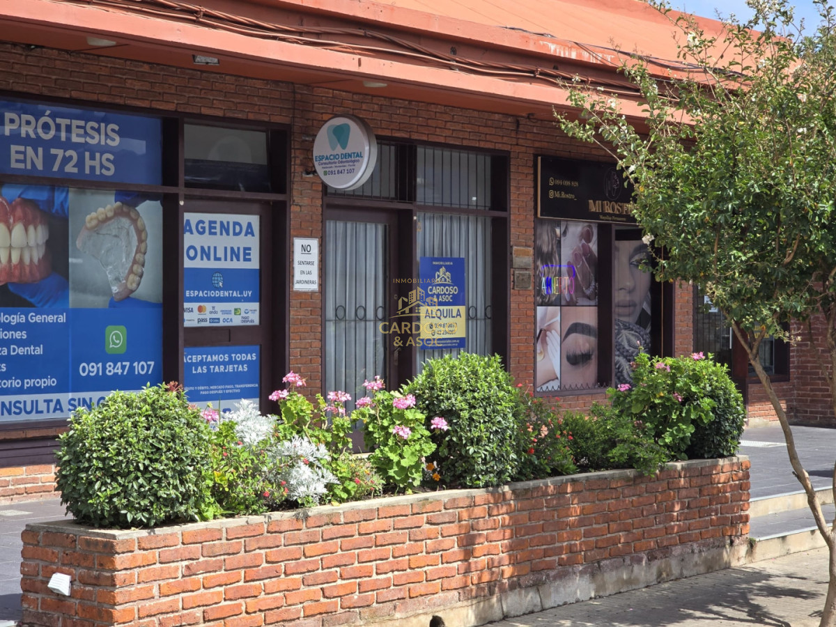 Apartamento ID.53 - Se alquila local comercial  en Maldonado centro.