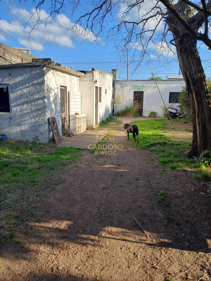 Casa ID.161 - Se venden 2 casas + apartamento + Galpón, Maldonado.