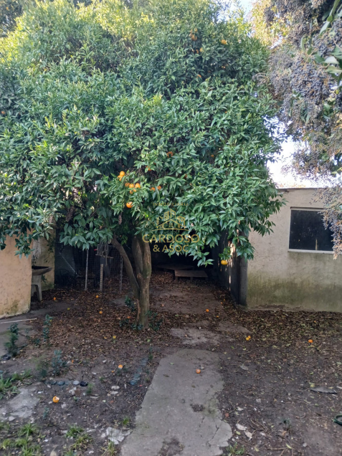 Casa ID.161 - Se venden 2 casas + apartamento + Galpón, Maldonado.