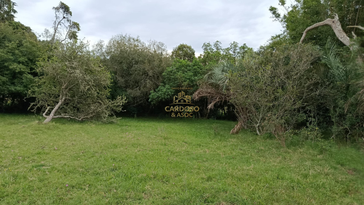 Chacra ID.139 - Chacra en Venta de 6 has. a 8 kmts. de Rocha