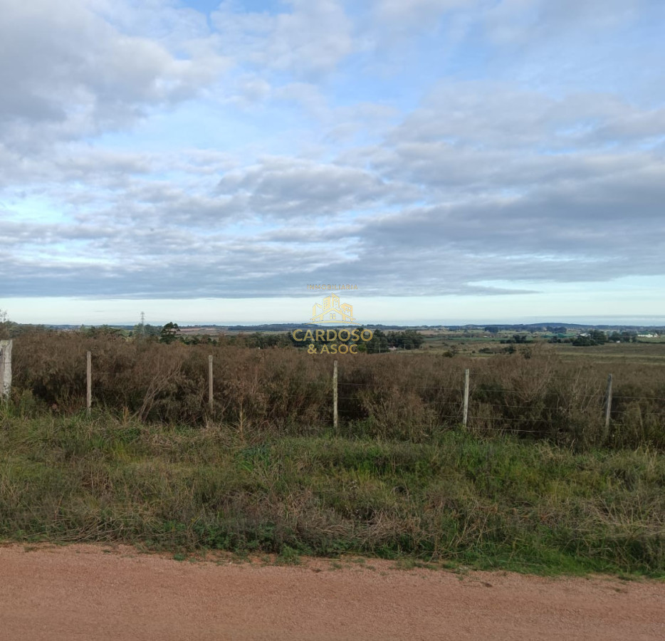 Chacra ID.50 - Se vende Chacra de 10,5 has en Laguna del Sauce.