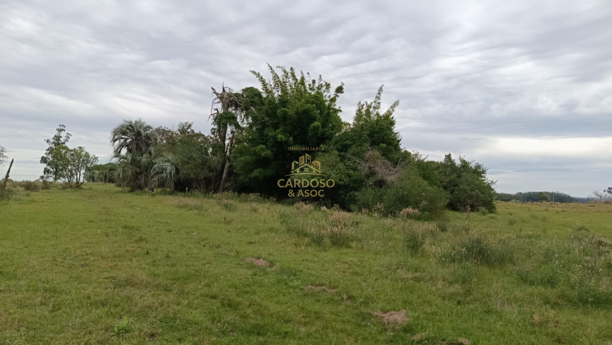 Chacra ID.139 - Chacra en Venta de 6 has. a 8 kmts. de Rocha