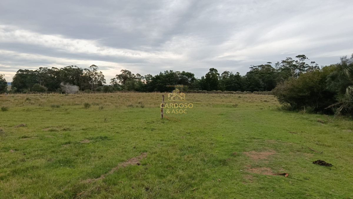 Chacra ID.139 - Chacra en Venta de 6 has. a 8 kmts. de Rocha