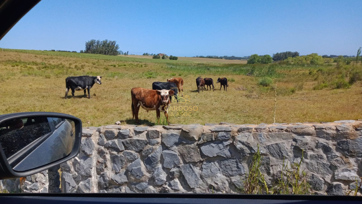 Chacra ID.84 - Chacra en venta a 5 kilómetros de ruta N° 9, Maldonado