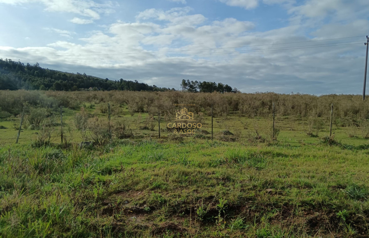 Chacra ID.50 - Se vende Chacra de 10,5 has en Laguna del Sauce.